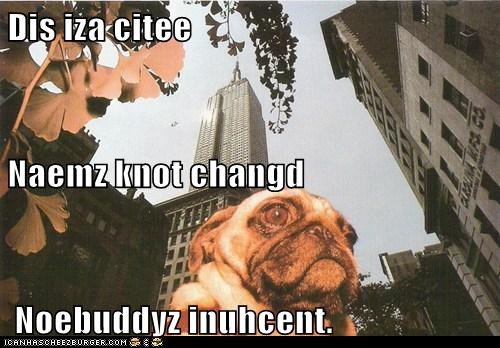 Dis iza citee Naemz knot changd  Noebuddyz inuhcent.
