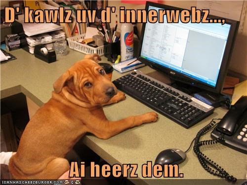 D' kawlz uv d' innerwebz...,   Ai heerz dem.