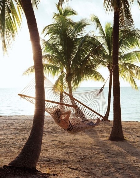 Hammock on a Florida Beach