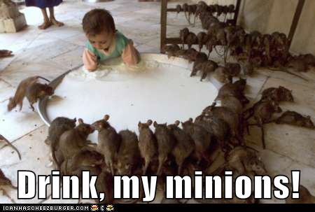 Drink, my minions!