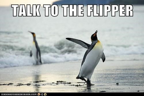 TALK TO THE FLIPPER