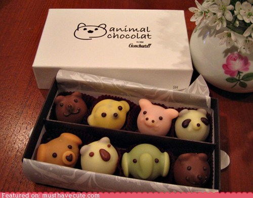 Epicute: Animal Chocolat
