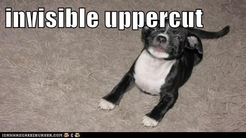 invisible uppercut
