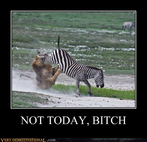 NOT TODAY, B*TCH