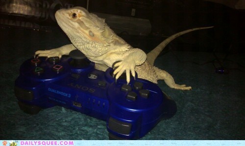 Acting Like Animals: Not Now, Mom! I'm Gaming!