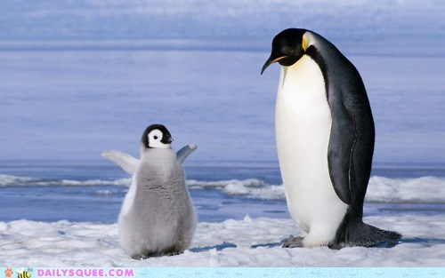 Look Mom, I'm Cute!