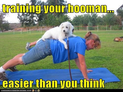 training your hooman...