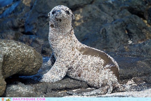 Reader Squees: Looks Like Someone Needs a Bath...