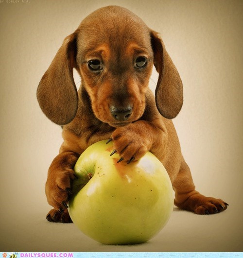 An Apple a Day...