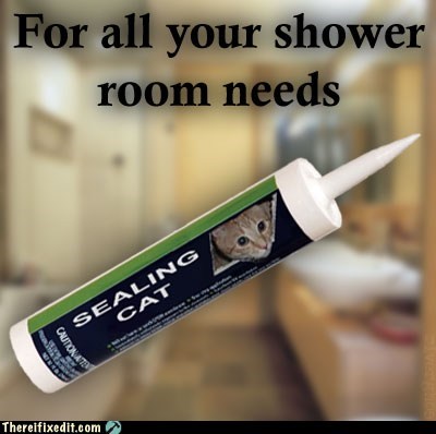 I'd Hate to Use a Sealant That Watches Me