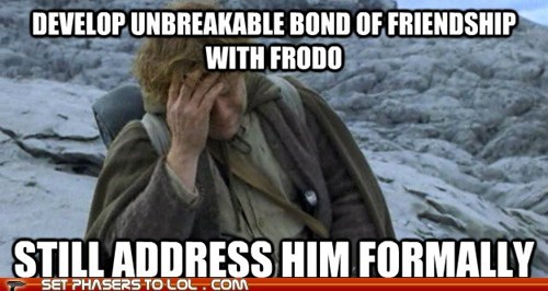 Lord of the Rings - Socially Awkward Sam