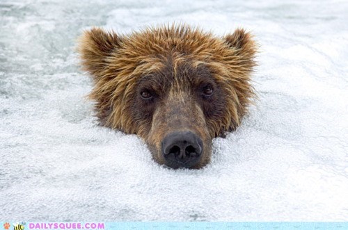Acting Like Animals: I Approve of This Jacuzzi