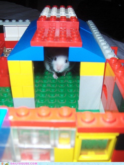 Reader Squees: King of the Lego Castle