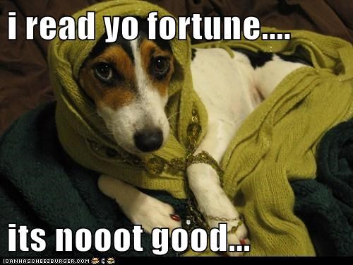 i read yo fortune.... 