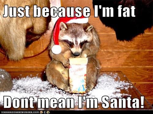Just because I'm fat  Dont mean I'm Santa!