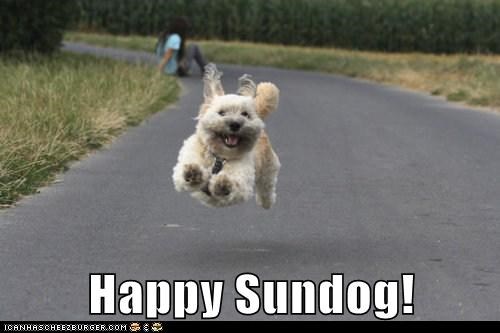 Happy Sundog!