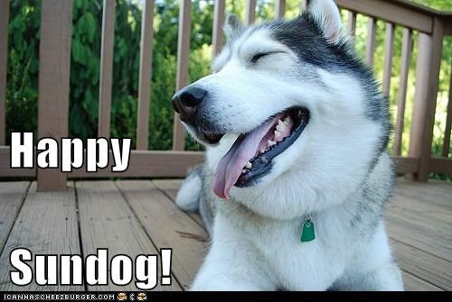 Happy Sundog!