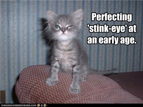 Perfecting 'stink-eye'