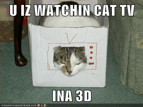 U IZ WATCHIN CAT TV  INA 3D