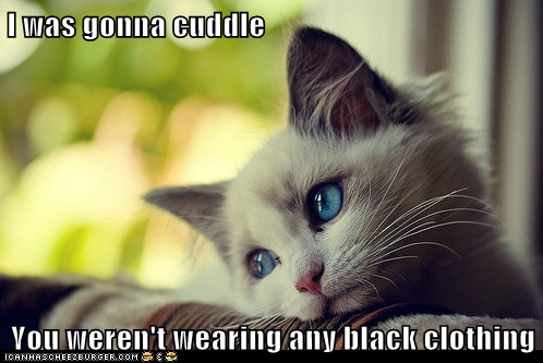 First World Cat Problems: You Should Wear Black More Often; It's Very Slimming!