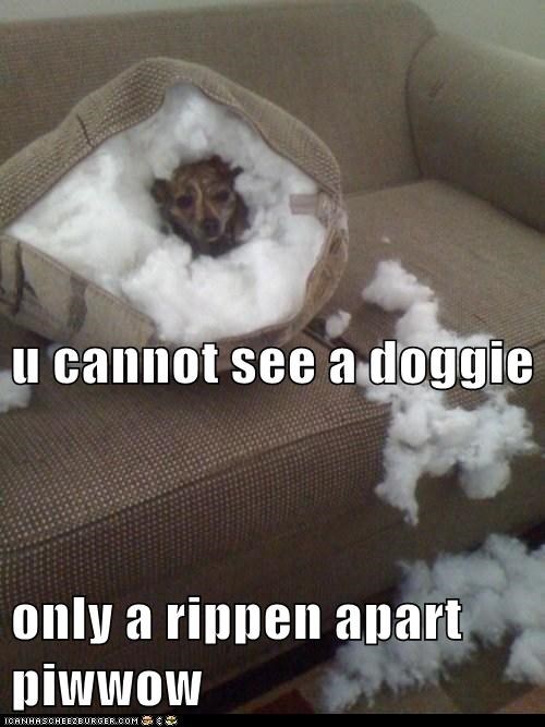 u cannot see a doggie only a rippen apart piwwow