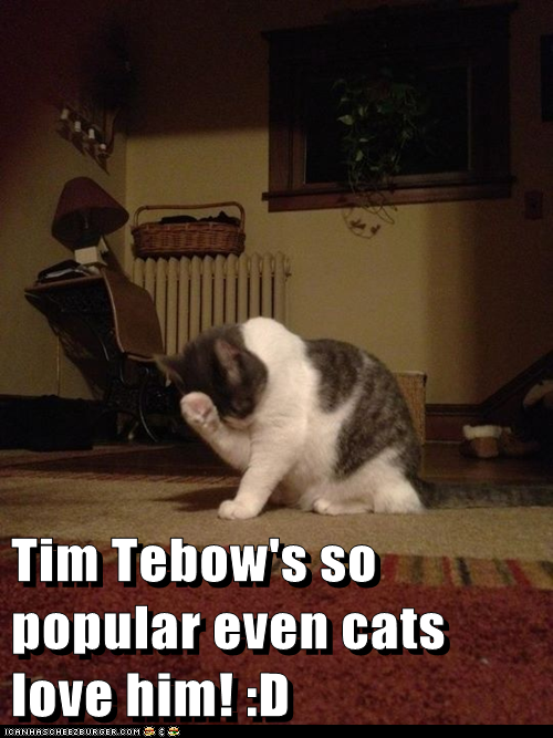 Tim Tebow's so popular even cats love him! :D