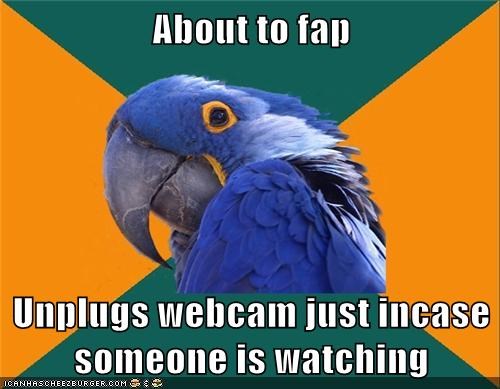 Paranoid Parrot: Tilts Webcam Away Too