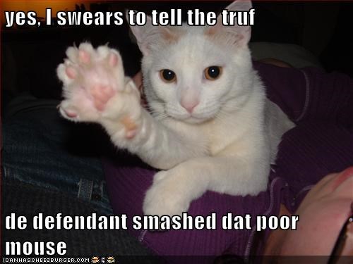 yes, I swears to tell the truf  de defendant smashed dat poor mouse