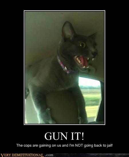 GUN IT!
