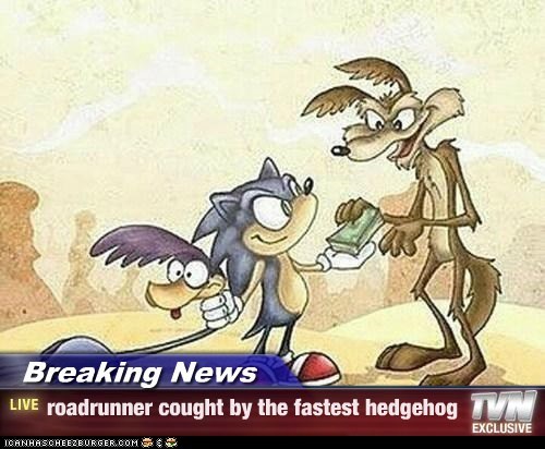 Breaking News - roadrunner cought by the fastest hedgehog