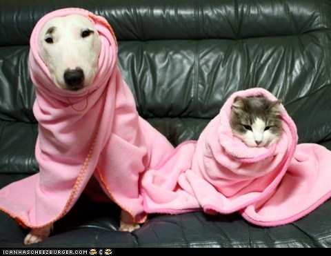 Goggies R Owr Friends: Pretty in Pink