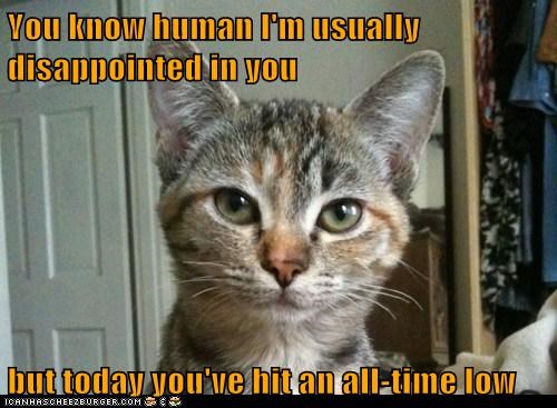 You know human I'm usually disappointed in you  but today you've hit an all-time low