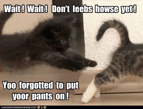 Wait !  Wait !   Don't  leebs  howse  yet !