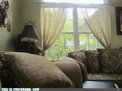 When You See It: Lying in Wait