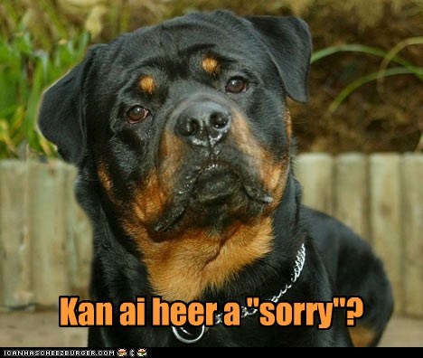 Kan ai