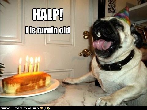 HALP!