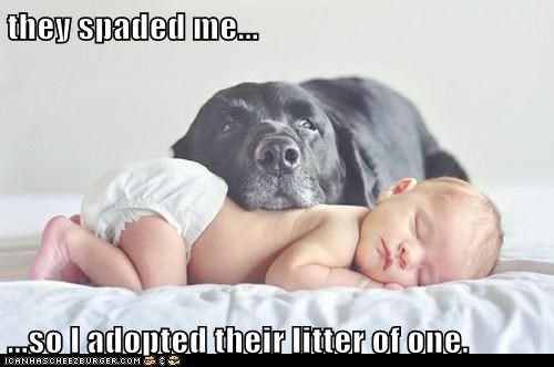 they spaded me...