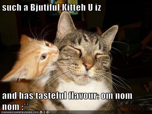 such a Bjutiful Kitteh U iz   and has tasteful flavour: om nom nom :**