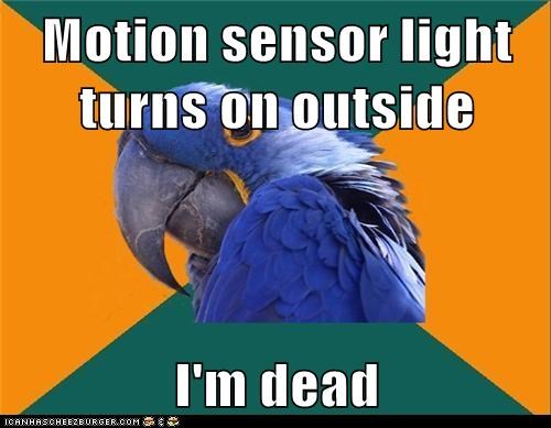 Animal Memes: Paranoid Parrot - Mission Failed