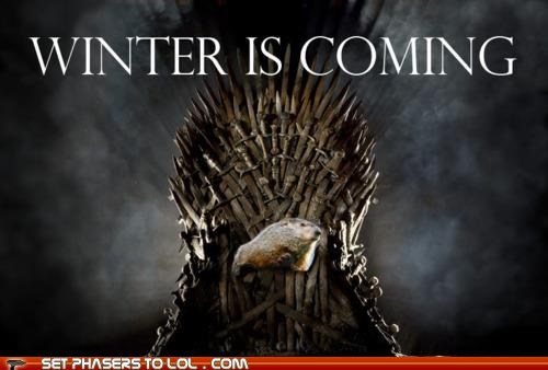 Punxsutawney Phil Says Brace Yourselves