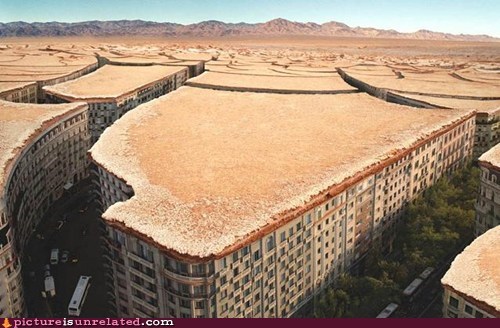 They Said I Was Fool to Build a City in the Desert, But I Showed Them