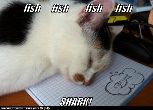 fish      fish         fish       fish                                SHARK!