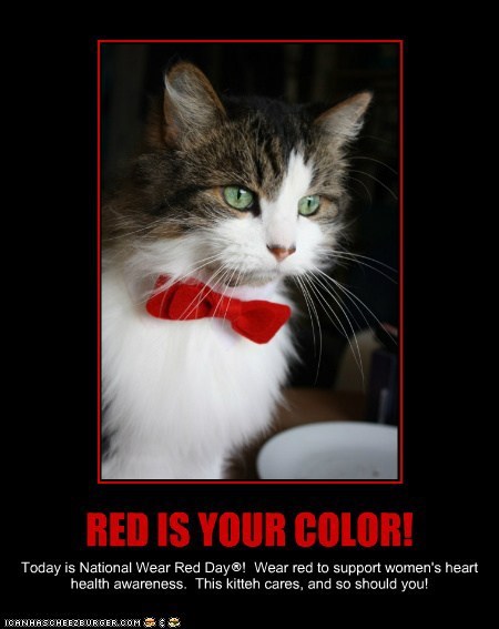 Kittehs Are Celebrating National Wear Red Day®!
