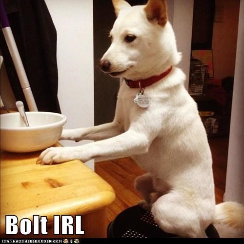 Bolt IRL