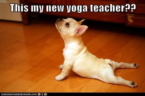 This my new yoga teacher??