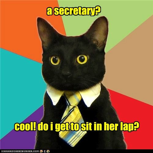 Business Cat: Just Asking That Is a Serious HR Violation