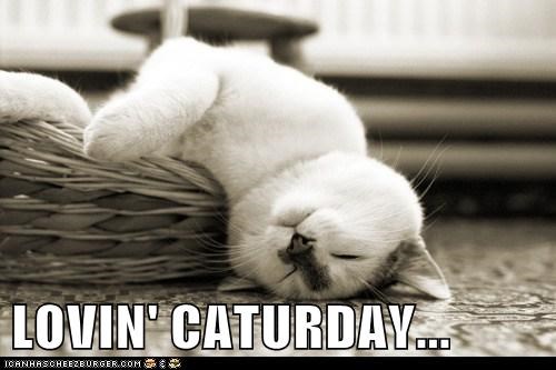 LOVIN' CATURDAY...