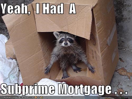 Yeah,  I Had  A  Subprime Mortgage . . .
