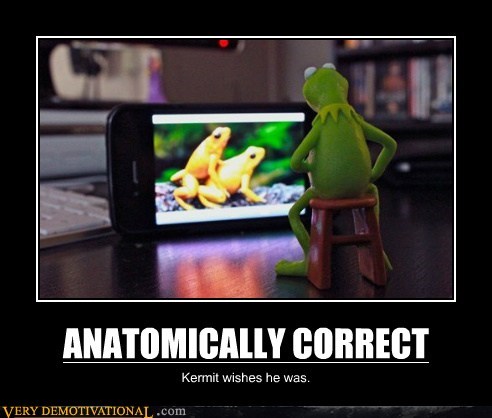 ANATOMICALLY CORRECT