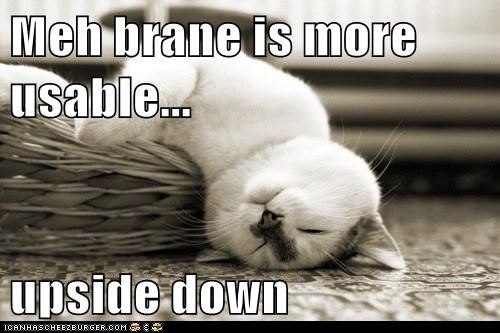 Meh brane is more usable...